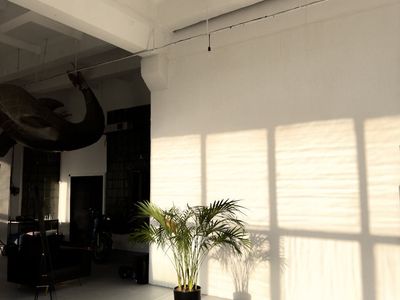 Empty, clean studio with large windows and sunlight.
